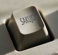 Sakujo in button form is useful.