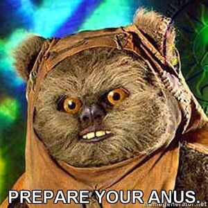 Ewok Anus.jpg