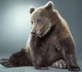 Some bears partake in slutty photoshoots.