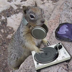 DJ Squirell.jpg