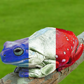 Frogs are characterised as both the people and the national cuisine of France. This is a secret reference to their fetish for cannabalism and vore.