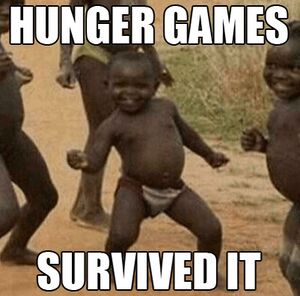 Hunger games niglet.jpg