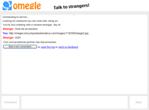 Omegle erection.PNG