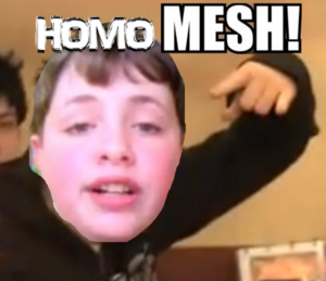 HOMOMESH.PNG