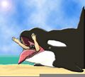 Orcas are the apex predators of the polar and oceanic regions, willing to eat anything and everything...