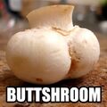 There's a reason some shrooms taste like ass