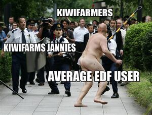 EDF vs KIWIFARMS.jpg