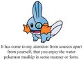 Mudkips verbose