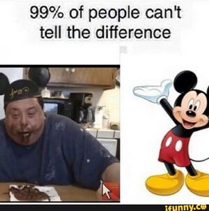 Joeysworldtour mickey mouse.jpg