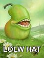 Lolw hat pear.