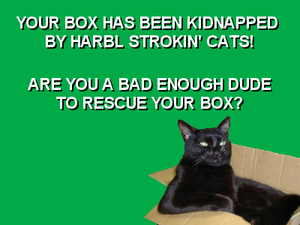 Badenoughboxcat.png