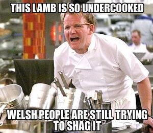 Gordon Ramsay - 18.jpg