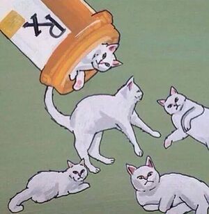 Prescription Cats.jpg