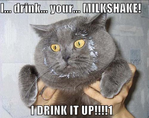 Milkshake-catPM.png