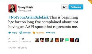 Suey Park Asian Sidekick.jpg