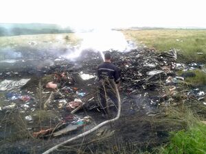 MH17 Wreckage 10.jpg