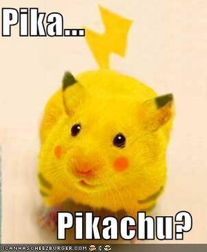 Pikapikachu.jpg