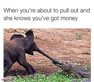 Pull out got money.jpg