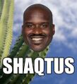 Nobody touches the Shaqtus.