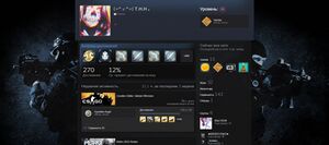 Rina steam profile.jpeg