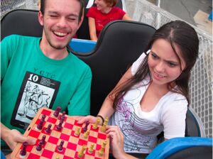 Roller Coaster Chess - 03.jpg