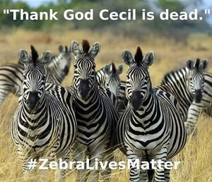 ZebrasLoveWalterPalmer.jpg