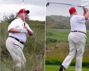 Trump Fat Fuck.jpg