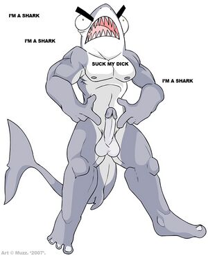 70329 - MEME Shark.jpg