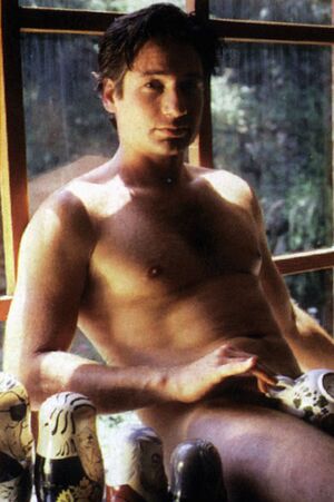 Davidduchovny1.jpg