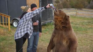 ReallyGiveABearABeer.jpg