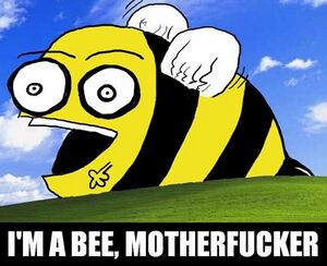 Im-a-bee-motherfucker.jpg