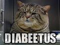 Is it can be insulin tiem now plees?