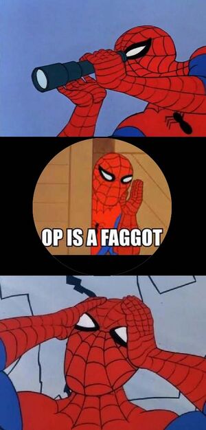 Spiderman op is a faggot.jpg