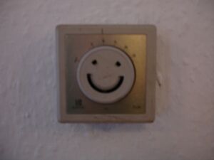 Happy thermostat.jpg