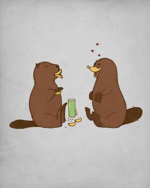 Beaver Seducing a Platypus.jpg