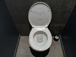 Marriage toilet.jpg