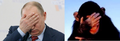 One of these photos was used to illustrate an article about an alcoholic Russian chimpanzee. Can you guess which?