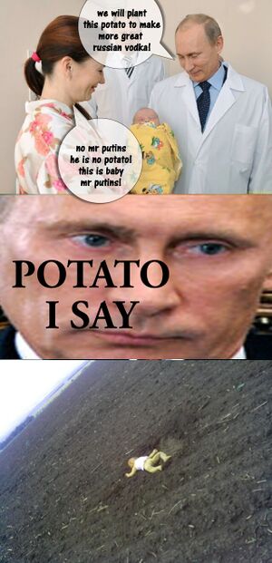 MH17 Putin Potato.jpg