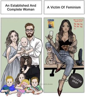 Trad v feminism FWCJXPXXgAAJvxG.jpg