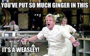 Gordon Ramsay - 21.jpg