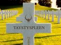 The truth about tastyspleen