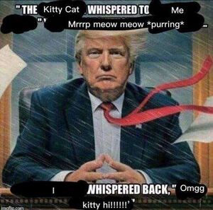 Trump message kitty.jpg