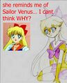 Definitely NOT Sailor Venus….