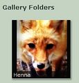 This Sickfuck has an entire gallery dedicated to this Fox.