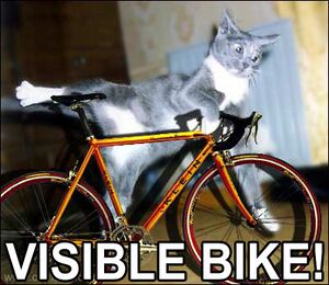 Visible-bike.jpg