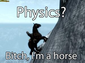 Skyrim horse physics.jpg