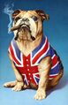 The favorite dog of the Irish is the British Bulldog