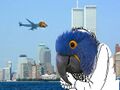 Birds did 9/11!