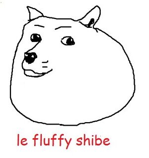 Le fluffy shibe.jpg