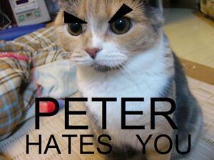 Peterhatesyou.jpg